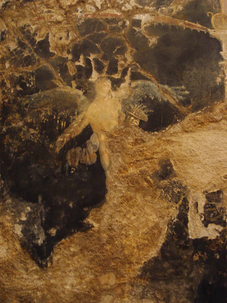Complesso dei triclini in località Moregine a Pompei. Triclinium B, west wall, painting of winged genius in flight with vase in hand.
Photo courtesy of Stefano Bolognini, via Wikimedia Commons.
According to Nappo, to the left of the Dioscurus, the only lateral figure of the room is preserved, albeit incomplete. This consists of a flying genie with wings not made of feathers but rather of flowering twigs with a basket on the left full of flowers and a large helicoidal shell, as if it were a wind instrument, resting on the right shoulder and supported with the hand.
See Nappo, S. C., 2001. La decorazione parietale dell'hospitium dei Sulpici in località Murecine a Pompei MEFR Antiquité, tome 113, n°2. 2001, p. 884, fig. 28.