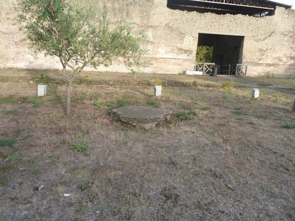 Oplontis, September 2015. East side of north garden, and one of the plaster-casts of tree-root cavity. In the upper right is the doorway to Exedra 69. 
