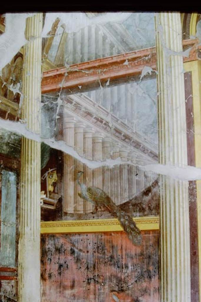 Oplontis, 1973. Receiving room 15 (6), in western part of Villa, detail of tragic mask and peacock. Photo by Stanley A. Jashemski.
Source: The Wilhelmina and Stanley A. Jashemski archive in the University of Maryland Library, Special Collections (See collection page) and made available under the Creative Commons Attribution-Non Commercial License v.4. See Licence and use details. J73f0361
