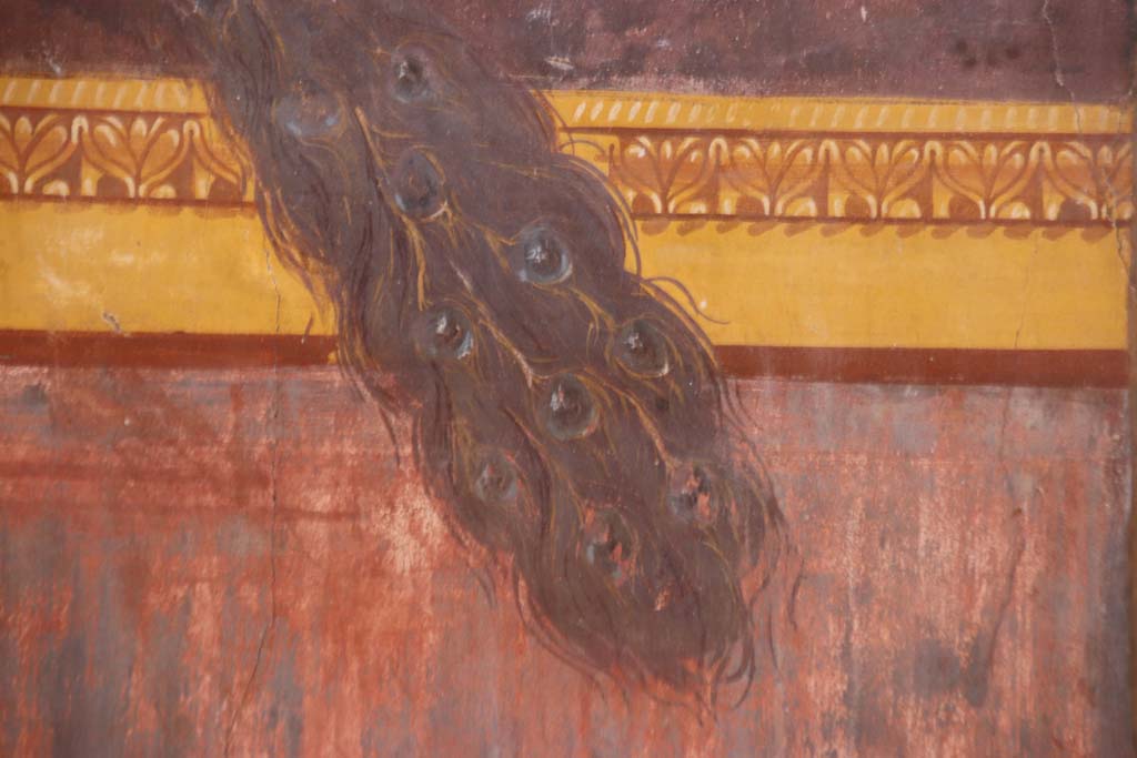 Oplontis Villa of Poppea, September 2021.
Room 15, detail of tail of painted peacock from north end of east wall. Photo courtesy of Klaus Heese.