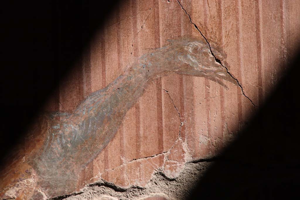 Oplontis Villa of Poppea, September 2021.
Room 15, detail of painted peacock from south end of east wall. Photo courtesy of Klaus Heese.