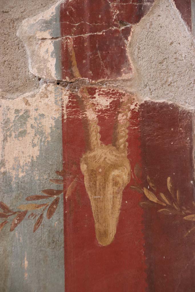 Oplontis Villa of Poppea, September 2021.
Room 15, detail of painted Bukranium at side of doorway to room 14, in east wall in south-east corner.
Photo courtesy of Klaus Heese.