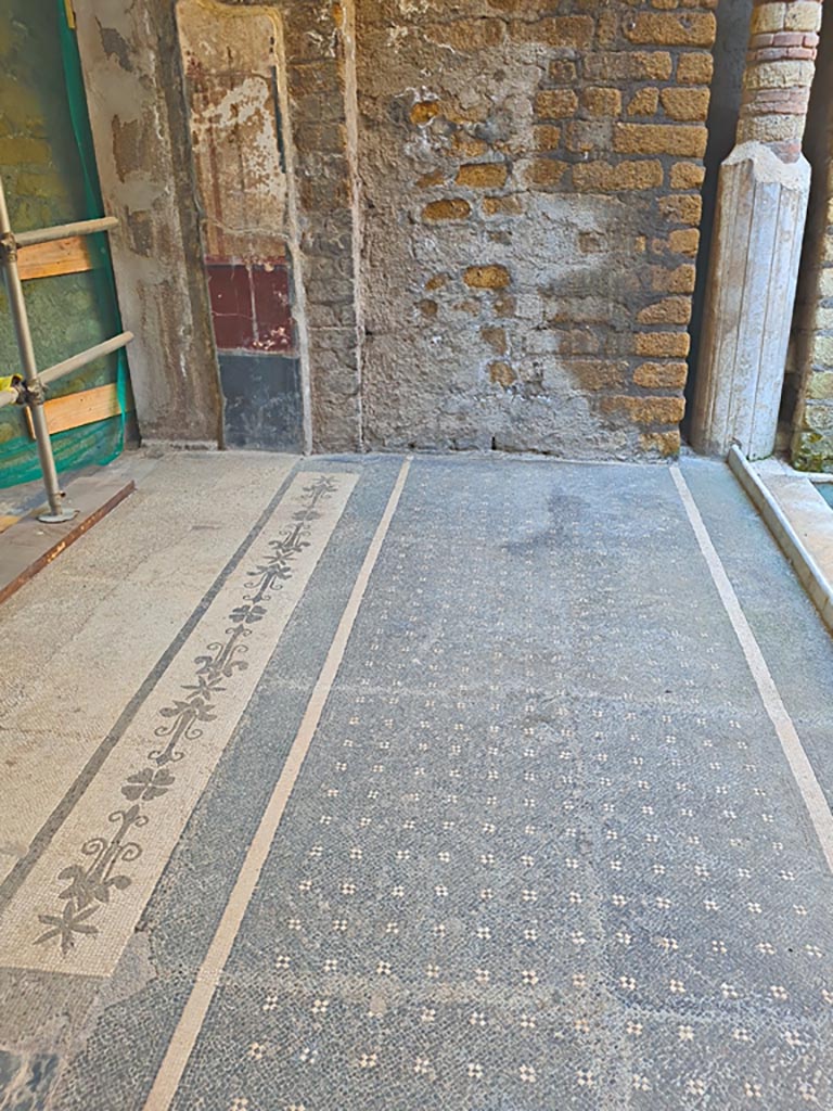 Oplontis Villa of Poppea, October 2023.
Room 16, looking towards west wall at south end. Photo courtesy of Giuseppe Ciaramella.