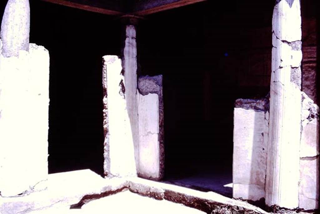 Oplontis, 1977. Area 19, north-east corner leading onto room 13, the portico. Photo by Stanley A. Jashemski.
Source: The Wilhelmina and Stanley A. Jashemski archive in the University of Maryland Library, Special Collections (See collection page) and made available under the Creative Commons Attribution-Non Commercial License v.4. See Licence and use details. J77f0353