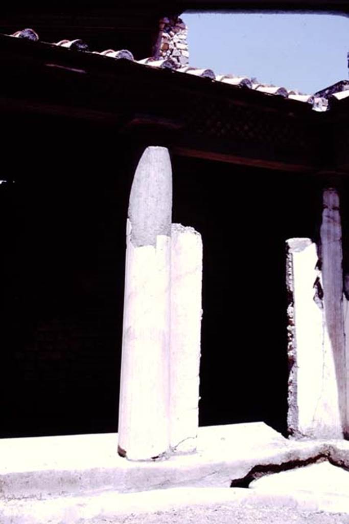 Oplontis, 1977. Area 19, north-east corner leading onto room 13, the portico.
Photo by Stanley A. Jashemski.
Source: The Wilhelmina and Stanley A. Jashemski archive in the University of Maryland Library, Special Collections (See collection page) and made available under the Creative Commons Attribution-Non Commercial License v.4. See Licence and use details.
J77f0354