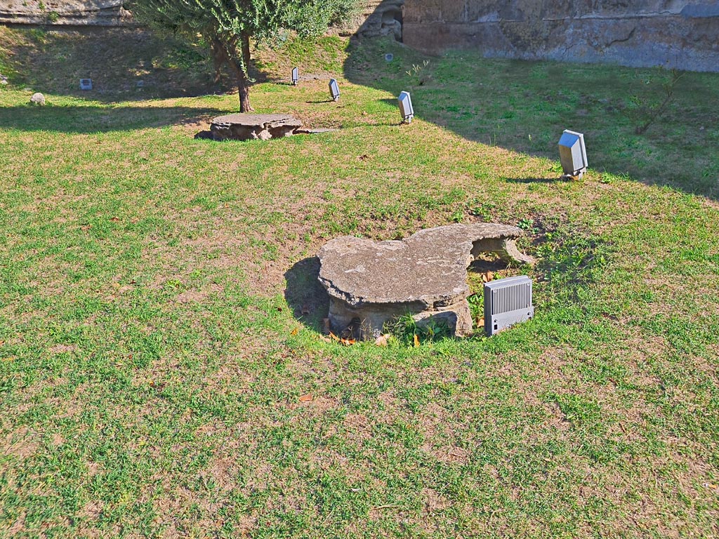 Oplontis Villa of Poppea, October 2023.
Looking north-east across north garden 56 towards unexcavated and plaster casts of Jashemski tree roots. Photo courtesy of Giuseppe Ciaramella.