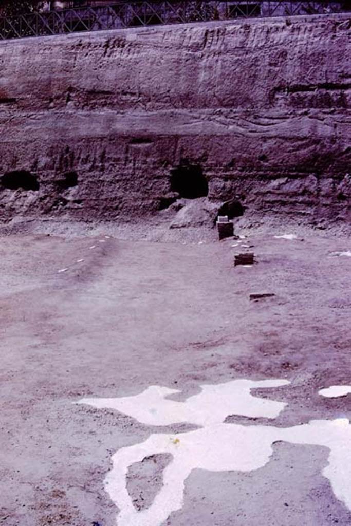 Oplontis, 1977. Looking north-west in the north garden.
Looking from the huge root cavity found in 1974, which took 230 large buckets of cement to fill in 1975, along the diagonal line of a pathway, with bases.
Wilhelmina thought the diagonal pathway probably joined with the central pathway leading out from room 21, although this could not be proved as the meeting point would be under the still unexcavated area.
Photo by Stanley A. Jashemski.
Source: The Wilhelmina and Stanley A. Jashemski archive in the University of Maryland Library, Special Collections (See collection page) and made available under the Creative Commons Attribution-Non Commercial License v.4. See Licence and use details.
J77f0358
According to Wilhelmina, “At the edge of the diagonal passageway on the east, four masonry statue bases were found. On them the marble shafts that supported the sculptured white marble heads had been mounted. In 1975, we had found the portrait head of a woman of the Julio-Claudian period. In addition, the Italian excavators had found the head of the goddess Aphrodite, the child Dionysus and the fine head of a Julio-Claudian boy, which some claimed was most certainly the child Nero.
These herms, which would have been set in the middle of clumps of plants, mainly oleanders, reminded us of the garden paintings that showed sculpture set amid masses of flowering oleanders. Only the shaft of one other herm was found, and a few details of the hair still on the shaft were sufficient for Stefano De Caro to identify the missing head as that of a bearded archaic-type Dionysus.
See Jashemski, W.F., 2014. Discovering the Gardens of Pompeii: Memoirs of a Garden Archaeologist, (p.255)