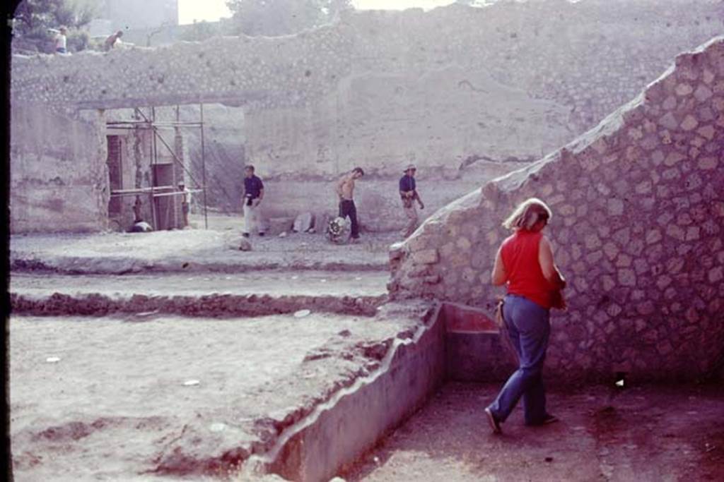 Oplontis, 1977. On the left is room 58, with its root cavities, on the right is room 57 with its remaining black and red painted plaster. Looking east. At the rear, across the garden, is the doorway to room 69. Photo by Stanley A. Jashemski.
Source: The Wilhelmina and Stanley A. Jashemski archive in the University of Maryland Library, Special Collections (See collection page) and made available under the Creative Commons Attribution-Non Commercial License v.4. See Licence and use details. J77f0293