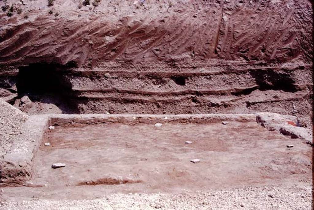 Oplontis, 1974. Room 58, looking east towards the still unexcavated area, which would prove to be the eastern end of the north garden. According to Wilhelmina, this small area had been turned into a garden by filling the foundations of a room with soil. Eight root-cavities, planted in three rows, were found in this garden in 1974, each root cavity was protected by a stone as can be seen in the above photo.
Photo by Stanley A. Jashemski.
Source: The Wilhelmina and Stanley A. Jashemski archive in the University of Maryland Library, Special Collections (See collection page) and made available under the Creative Commons Attribution-Non Commercial License v.4. See Licence and use details. J74f0639