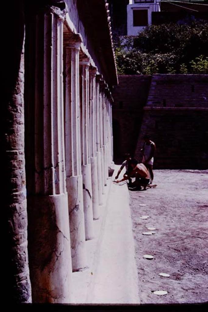 Oplontis, 1977. Area 59, looking south along east side, with white painted root cavities. Photo by Stanley A. Jashemski.
Source: The Wilhelmina and Stanley A. Jashemski archive in the University of Maryland Library, Special Collections (See collection page) and made available under the Creative Commons Attribution-Non Commercial License v.4. See Licence and use details. J77f0361