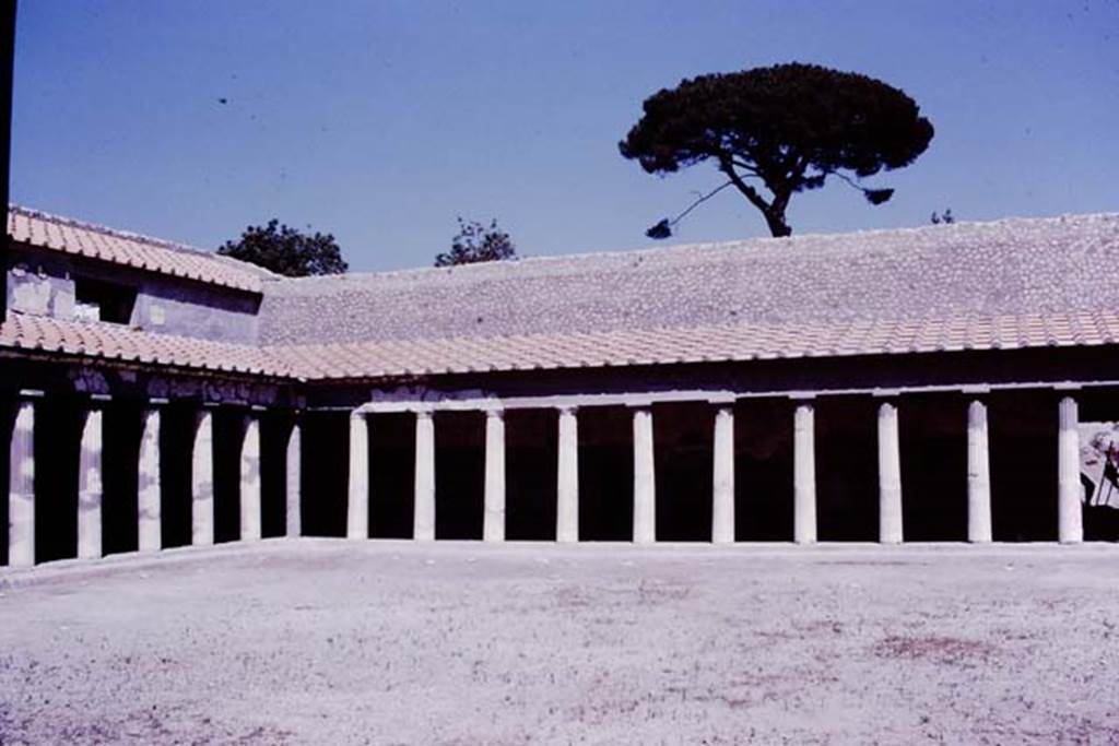 Oplontis, 1977. Area 59, the south-east peristyle, looking towards north-east corner and east wall. Photo by Stanley A. Jashemski.
Source: The Wilhelmina and Stanley A. Jashemski archive in the University of Maryland Library, Special Collections (See collection page) and made available under the Creative Commons Attribution-Non Commercial License v.4. See Licence and use details. J77f0362