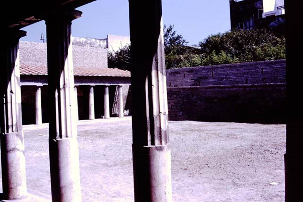 Oplontis, 1977. Area 59, the south-east peristyle, looking south-east from the north portico. Photo by Stanley A. Jashemski.
Source: The Wilhelmina and Stanley A. Jashemski archive in the University of Maryland Library, Special Collections (See collection page) and made available under the Creative Commons Attribution-Non Commercial License v.4. See Licence and use details. J77f0364