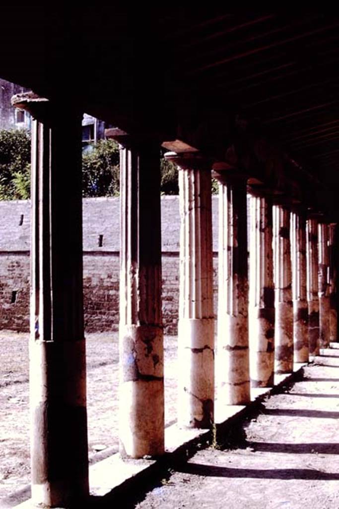 Oplontis, 1977. Area 59, Looking south-east from west portico. Photo by Stanley A. Jashemski.
Source: The Wilhelmina and Stanley A. Jashemski archive in the University of Maryland Library, Special Collections (See collection page) and made available under the Creative Commons Attribution-Non Commercial License v.4. See Licence and use details. J77f0322