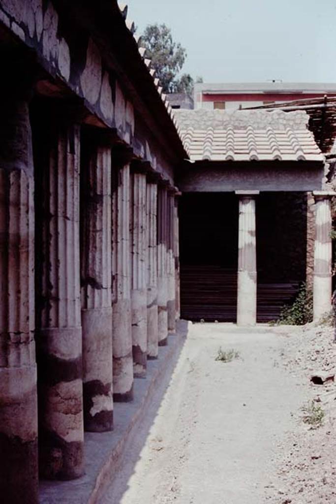 Oplontis 1974. Peristyle 59, looking north along west portico. Photo by Stanley A. Jashemski.
Source: The Wilhelmina and Stanley A. Jashemski archive in the University of Maryland Library, Special Collections (See collection page) and made available under the Creative Commons Attribution-Non Commercial License v.4. See Licence and use details. J74f0624