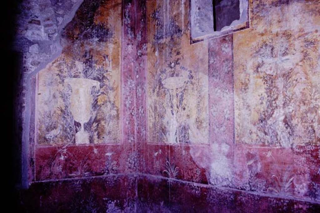 Oplontis, 1977. Room 68, south-west corner and west wall  Photo by Stanley A. Jashemski.   
Source: The Wilhelmina and Stanley A. Jashemski archive in the University of Maryland Library, Special Collections (See collection page) and made available under the Creative Commons Attribution-Non Commercial License v.4. See Licence and use details. J77f0365

