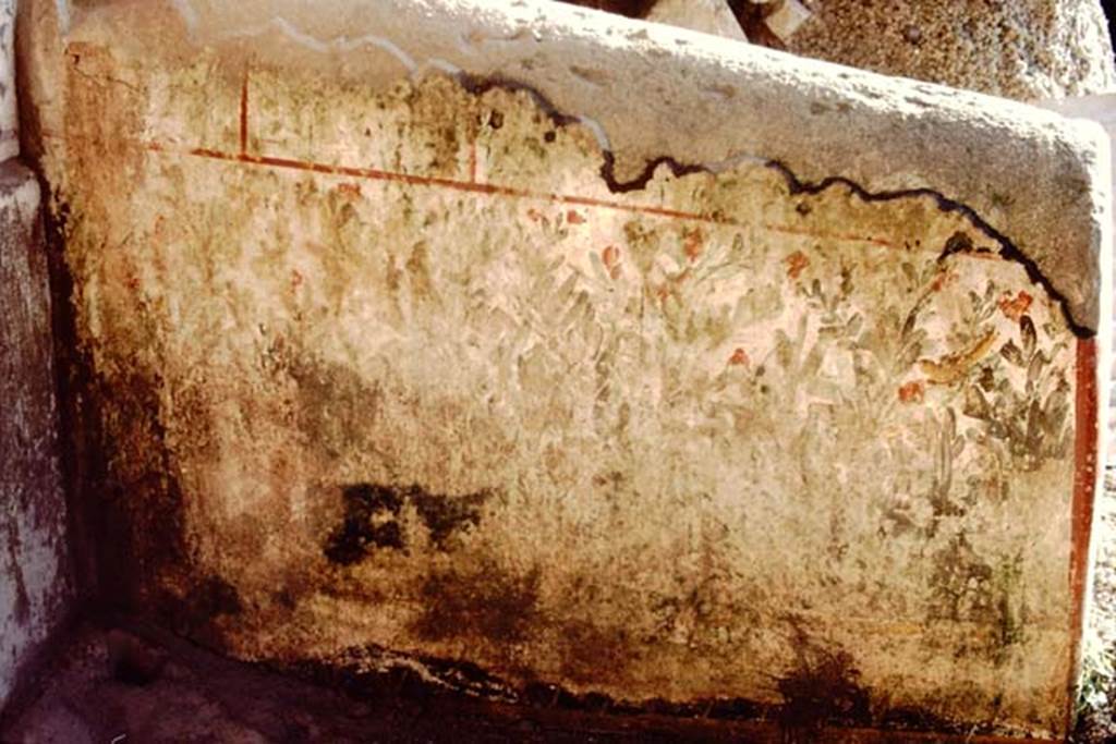 Oplontis, 1983 or 1984. The painting of a poorly preserved thicket continuing along the low projection perpendicular to the wall.
Source: The Wilhelmina and Stanley A. Jashemski archive in the University of Maryland Library, Special Collections (See collection page) and made available under the Creative Commons Attribution-Non Commercial License v.4. See Licence and use details. Oplo0074