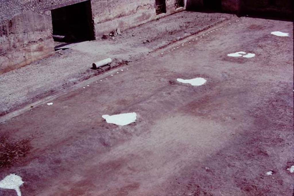 Oplontis, 1977. Area 56, east end of north garden, showing line of five huge tree-root cavities and smaller cavities bordering the portico. Photo by Stanley A. Jashemski.   
Source: The Wilhelmina and Stanley A. Jashemski archive in the University of Maryland Library, Special Collections (See collection page) and made available under the Creative Commons Attribution-Non Commercial License v.4. See Licence and use details. J77f0304
