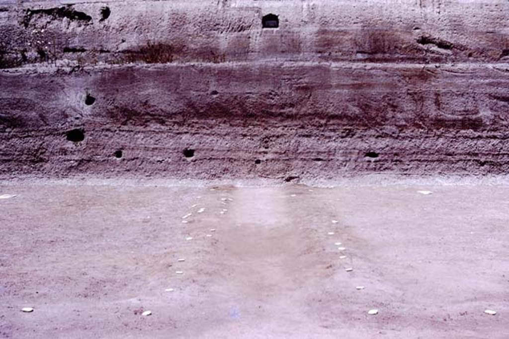 Oplontis, 1977. Looking north along central path, towards unexcavated north garden.  (The large branch of the tree, that Wilhelmina mentions below, was found in the cavity on the left, which seems to be surrounded by white lapilli).
Photo by Stanley A. Jashemski.   
Source: The Wilhelmina and Stanley A. Jashemski archive in the University of Maryland Library, Special Collections (See collection page) and made available under the Creative Commons Attribution-Non Commercial License v.4. See Licence and use details. J77f0357
According to Wilhelmina, �Large quantities of what appeared to be partially carbonized tree-roots were found in several cavities, and what appeared to be parts of the trunk were found in the lapilli above ground. Most spectacular was the large branch (180cm long) of a tree found in the volcanic ash, at a height of about 250cms (8 ft) at the northern end of the excavations. The cavities left by the spreading branches of this huge tree, which grew in the yet unexcavated part of the garden, can be seen in the cut in the volcanic fill.�
See Jashemski, W. F., 1979. The Gardens of Pompeii. New York: Caratzas, (p.300)
