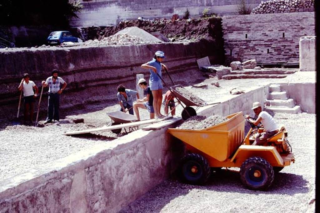 Oplontis, 1978. Area 92, looking south along east side of pool. The Scavi workmen had removed much of the lapilli, now the remaining was carefully being removed. 
Photo by Stanley A. Jashemski.   
Source: The Wilhelmina and Stanley A. Jashemski archive in the University of Maryland Library, Special Collections (See collection page) and made available under the Creative Commons Attribution-Non Commercial License v.4. See Licence and use details. J78f0251
According to Wilhelmina, �during this summer we did our first excavating in the south part of the area on the east side of the large swimming pool. It was here they had found the statues of the ephebos, Nike and Hercules which were displayed on their bases. Five other statue bases were found, but without statues�.
See Jashemski, W.F., 2014. Discovering the Gardens of Pompeii: Memoirs of a Garden Archaeologist, (p.265). 
