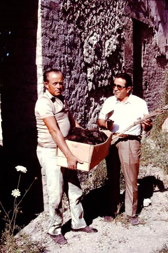 Oplontis, Villa of Lucius Crassius Tertius. 1978. Area 20, south side of peristyle, outside room 12. Holding finds. 
According to the Soprintendenza, lungo i bracci di tale peristilio, completamente ricostruito, ricollocando in loco gli originari rocchi delle colonne e i relativi capitelli, vi � una serie di stanze, molto probabilmente magazzini, almeno a giudicare da quanto in essi rinvenuto (pesi, suppellettili, ceramica da trasporto, paglia carbonizzata, una grande quantit� di piccoli e acerbi melograni, utilizzati forse per la concia delle pelli).
Along the arms of the peristyle, completely rebuilt on site by relocating the original columns and their capitals, there is a series of rooms, probably warehouses, at least judging from what was found in them (weights, furnishings, ceramics, charred straw, a large amount of small and unripe pomegranates, perhaps used for tanning leather).
See Villa on the Soprintendenza web site
Photo by Stanley A. Jashemski.   
Source: The Wilhelmina and Stanley A. Jashemski archive in the University of Maryland Library, Special Collections (See collection page) and made available under the Creative Commons Attribution-Non Commercial License v.4. See Licence and use details.
J78f0614
