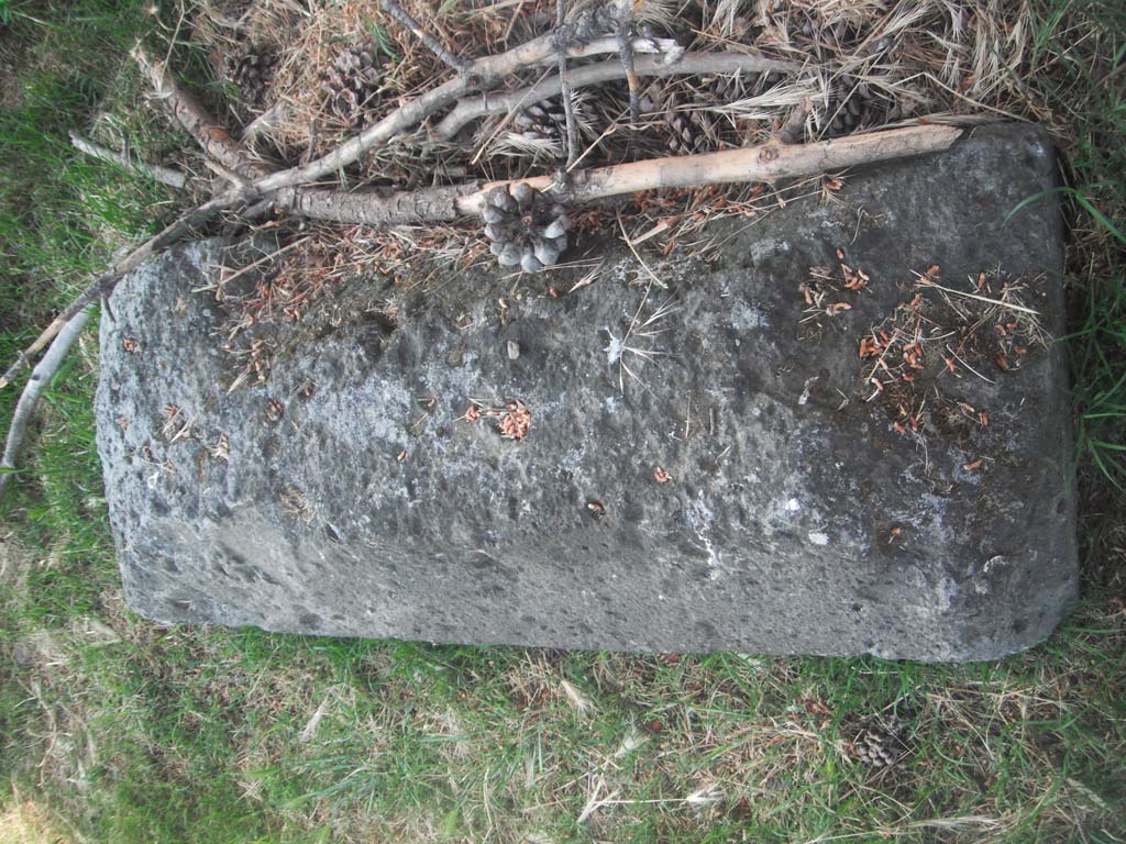 City Walls near Tower III. May 2011.
Detail of Merlon capping stone. Photo courtesy of Ivo van der Graaff.