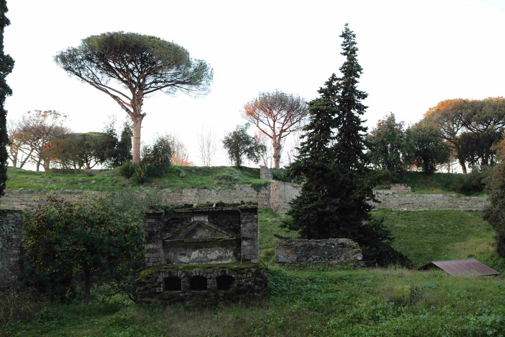 City walls from Via delle Tombe. December 2018.
Walls at rear of tombs 30EN and 32EN, looking north towards Tower III, behind conifer, centre right. Photo courtesy of Aude Durand.