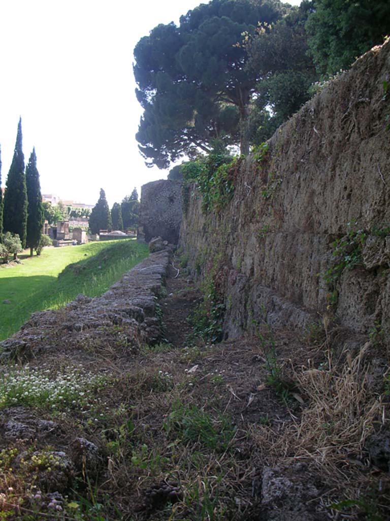 Walls on east side of Tower III, Pompeii. May 2010.
Looking west along City Wall. Photo courtesy of Ivo van der Graaff.