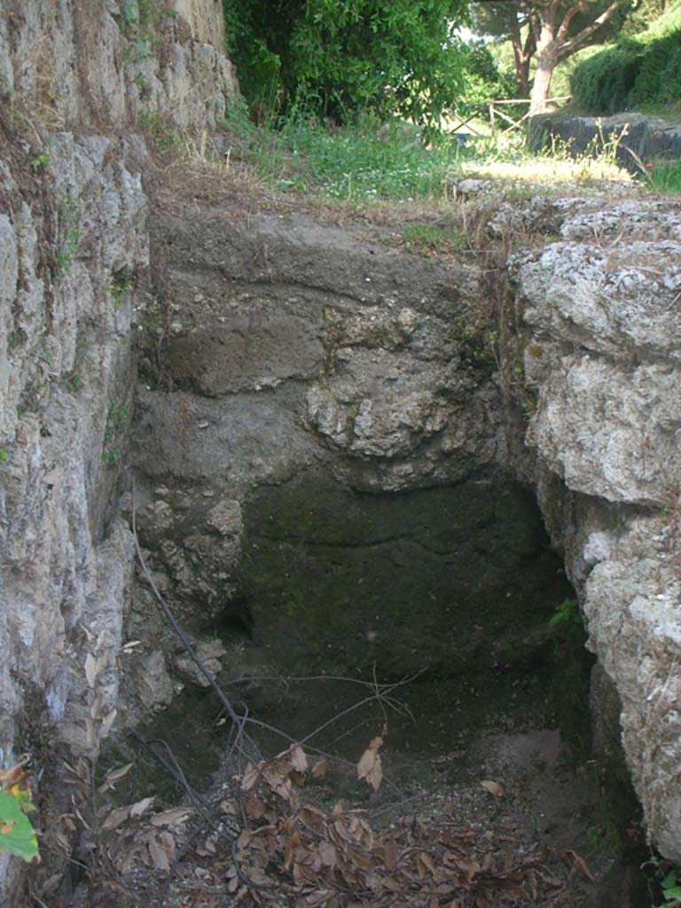 Walls on east side of Tower III, Pompeii. May 2010.
Looking east, detail. Photo courtesy of Ivo van der Graaff.