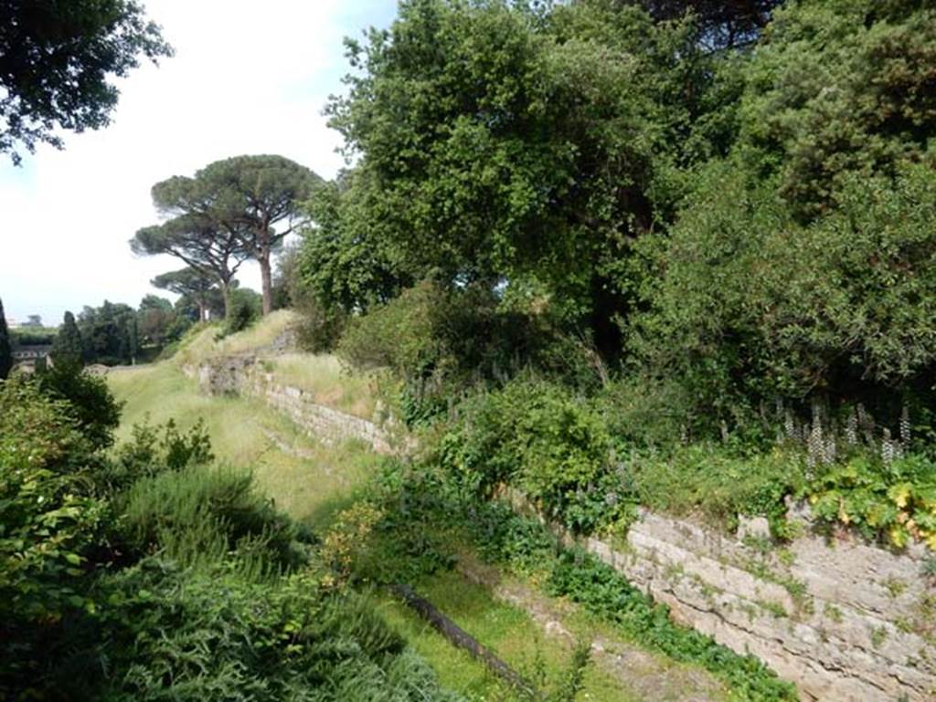 Walls near Amphitheatre entrance, Pompeii, May 2018. Looking west along city walls towards east side of Tower III.
Photo courtesy of Buzz Ferebee.
See Notizie degli Scavi, 1939, p.232-238,
for information on tower and walls on south side of Palestra, including reproductions of incised marks on the walls (fig .40 and 41 on pages 234-5).