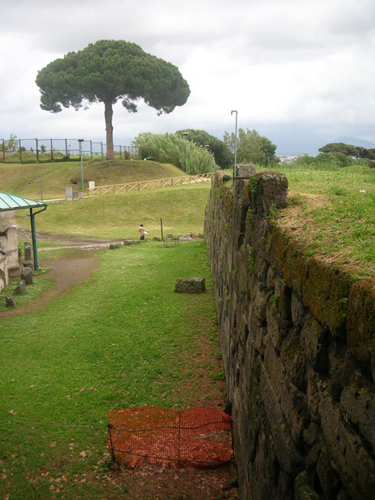 Walls on north side of Pompeii. May 2010.
Looking east from Tower X towards Vesuvian Gate. Photo courtesy of Ivo van der Graaff.