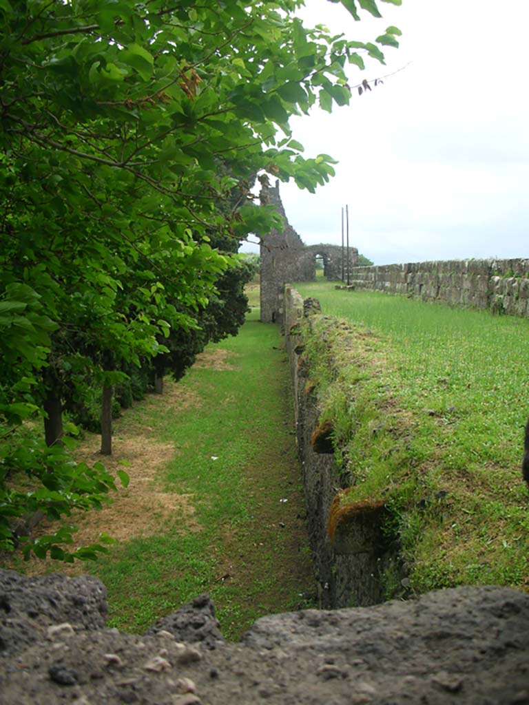 Tower X, Pompeii. May 2010.
Looking east from Tower along north exterior wall towards Tower X. Photo courtesy of Ivo van der Graaff.